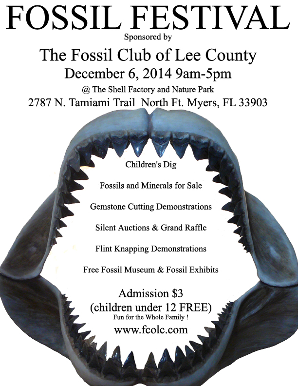 Fossil Festival 2011